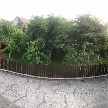 Катерина Otel Chynadiyovo Dış mekan fotoğraf