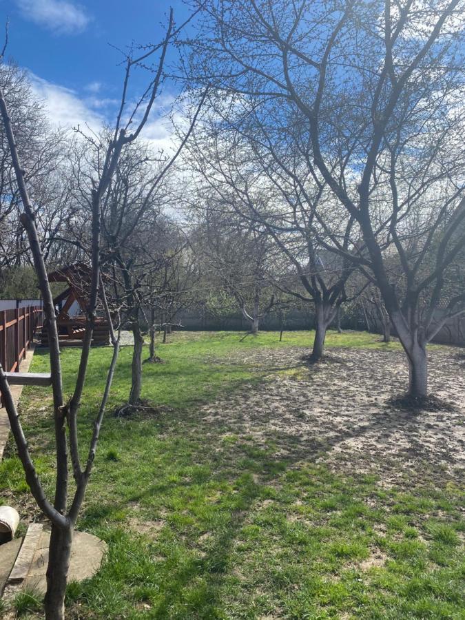 Катерина Otel Chynadiyovo Dış mekan fotoğraf