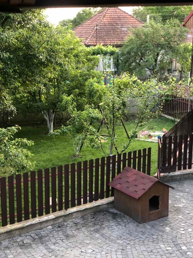 Катерина Otel Chynadiyovo Dış mekan fotoğraf